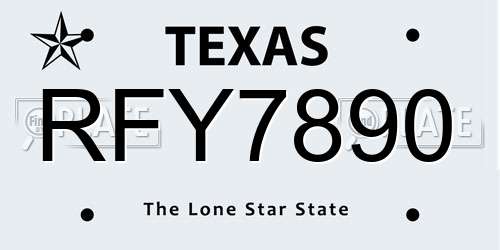 RFY7890 Texas License Plate