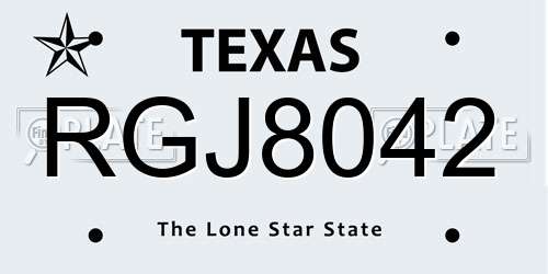 RGJ8042 Texas License Plate