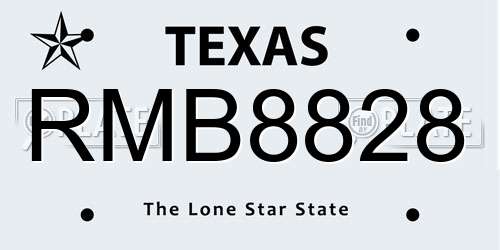 RMB8828 Texas License Plate