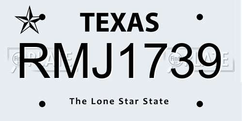RMJ1739 Texas License Plate
