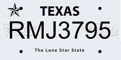 RMJ3795 Texas License Plate