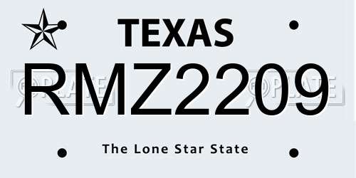 RMZ2209 Texas License Plate