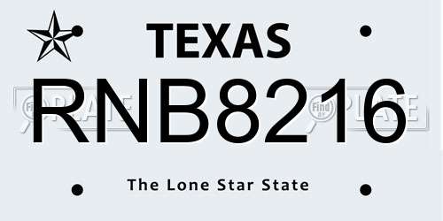 RNB8216 Texas License Plate