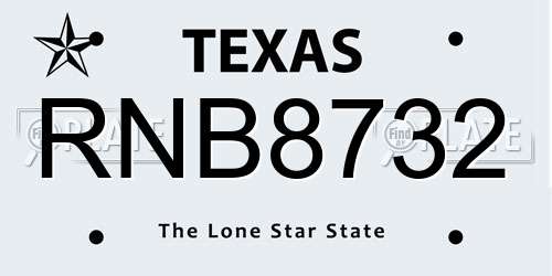 RNB8732 Texas License Plate