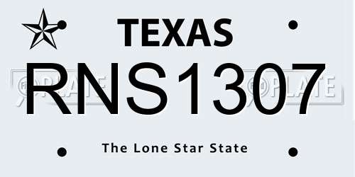 RNS1307 Texas License Plate