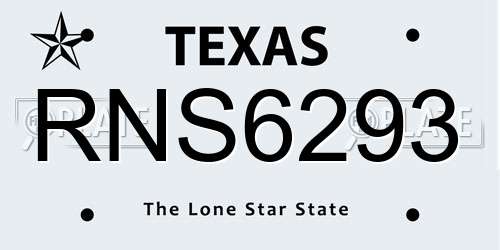 RNS6293 Texas License Plate