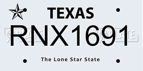 RNX1691 Texas License Plate