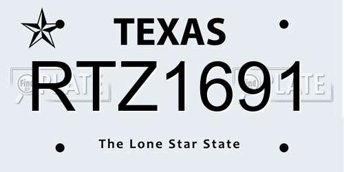 RTZ1691 Texas License Plate