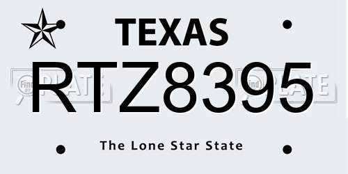 RTZ8395 Texas License Plate