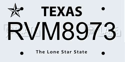 RVM8973 Texas License Plate