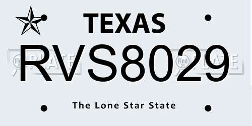 RVS8029 Texas License Plate