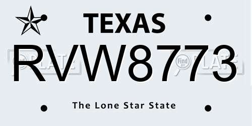 RVW8773 Texas License Plate