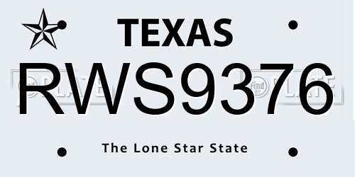 RWS9376 Texas License Plate