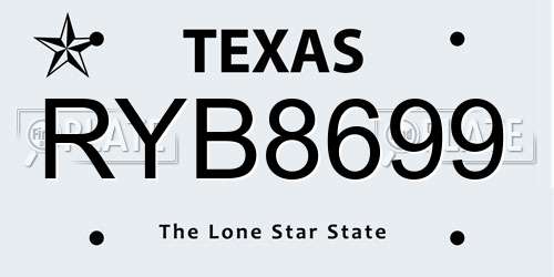RYB8699 Texas License Plate