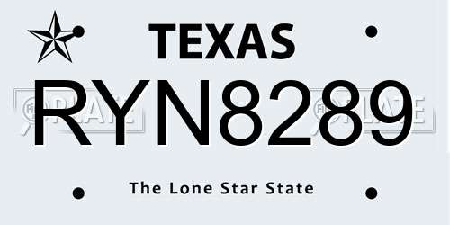 RYN8289 Texas License Plate