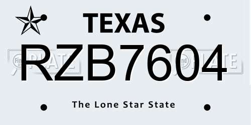 RZB7604 Texas License Plate