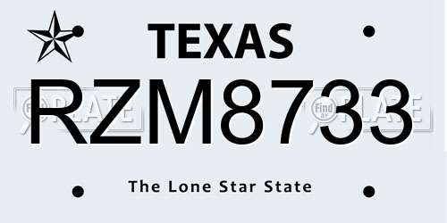 RZM8733 Texas License Plate