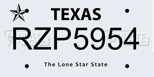 RZP5954 Texas License Plate