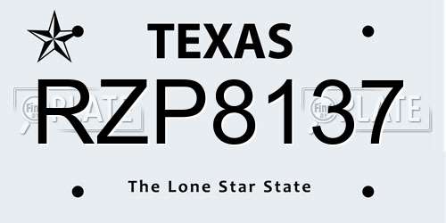 RZP8137 Texas License Plate