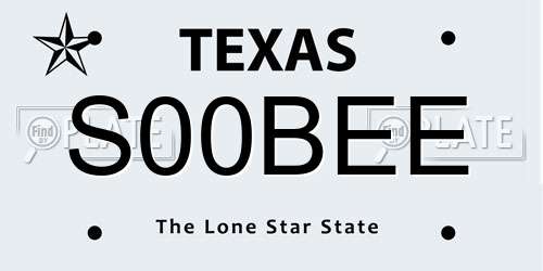 S00BEE Texas License Plate