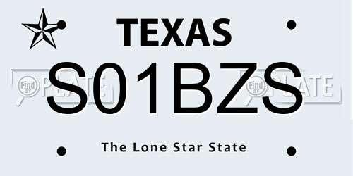 S01BZS Texas License Plate