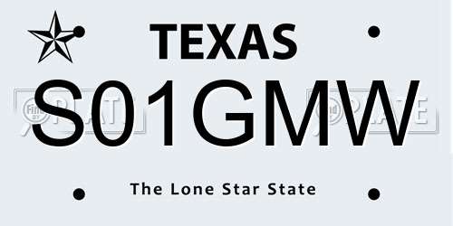 S01GMW Texas License Plate