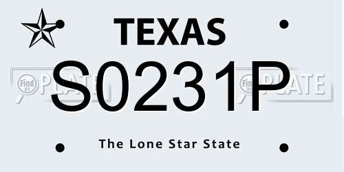 S0231P Texas License Plate