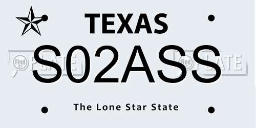 S02ASS Texas License Plate