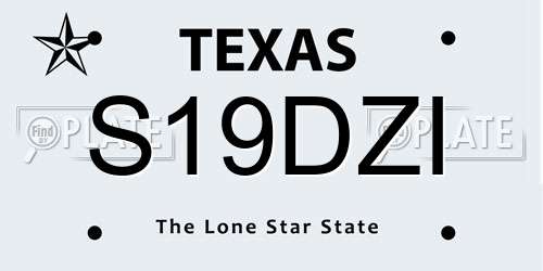 S19DZI Texas License Plate