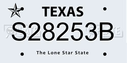 S28253B Texas License Plate