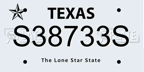 S38733S Texas License Plate