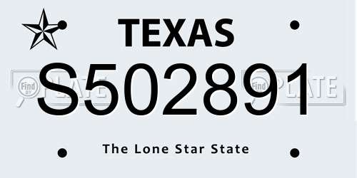 S502891 Texas License Plate