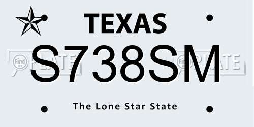 S738SM Texas License Plate