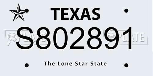 S802891 Texas License Plate