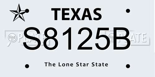 S8125B Texas License Plate