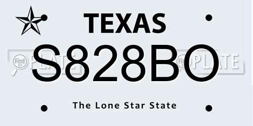 S828BO Texas License Plate