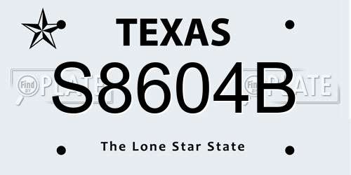 S8604B Texas License Plate