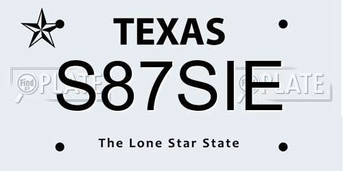 S87SIE Texas License Plate