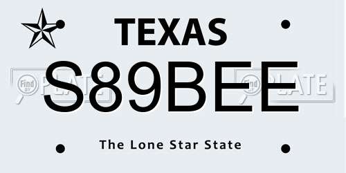 S89BEE Texas License Plate
