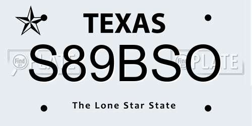 S89BSO Texas License Plate