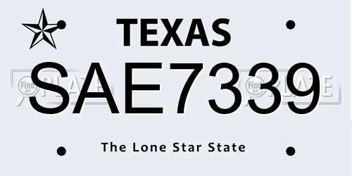 SAE7339 Texas License Plate