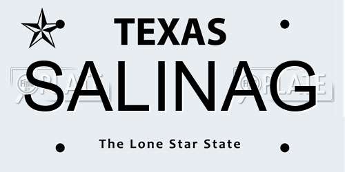 SALINAG Texas License Plate