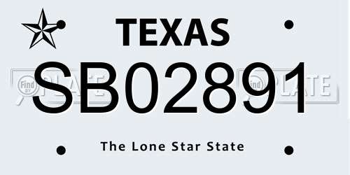 SB02891 Texas License Plate