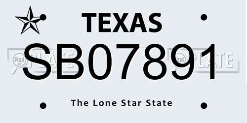 SB07891 Texas License Plate