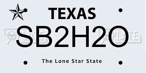 SB2H2O Texas License Plate