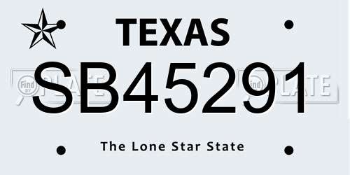 SB45291 Texas License Plate
