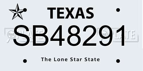 SB48291 Texas License Plate