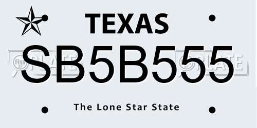 SB5B555 Texas License Plate