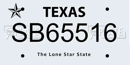 SB65516 Texas License Plate