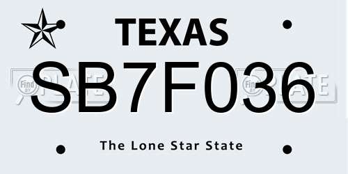 SB7F036 Texas License Plate
